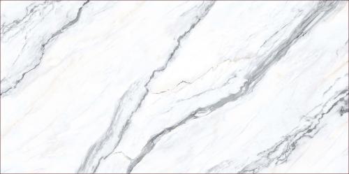 TDBL189T005（左右三连纹）-2