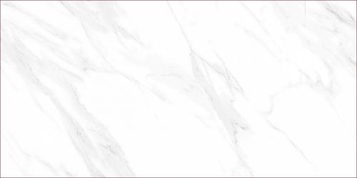 TFTL126116