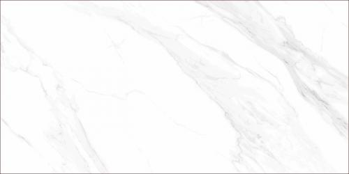 TFTL126116-4