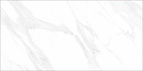 TFTL126116-5