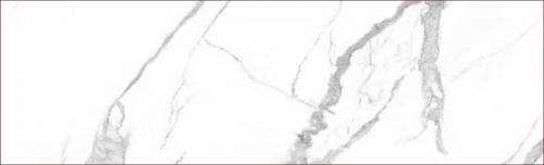 KGA8026005-3