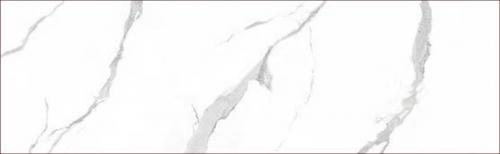 KGA8026005-8