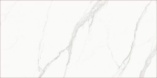 KB0003-L44鱼肚白