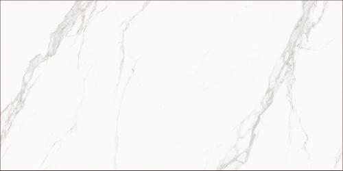 KB0003-L43鱼肚白