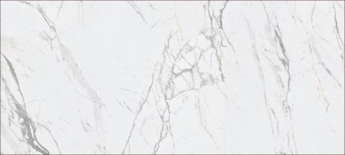 KB0028-L42细花白