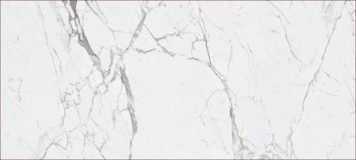 KB0028-L44细花白