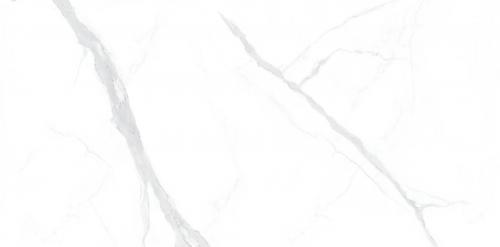 KJ918808