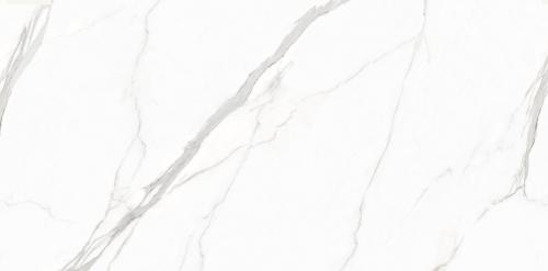 KJ918812