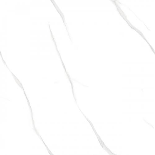 KT8812L