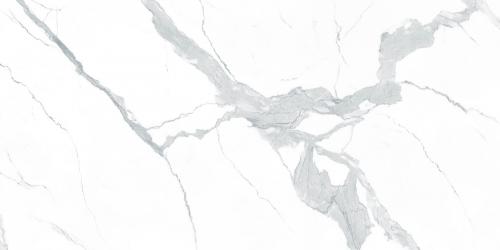 K18909-（1-12）