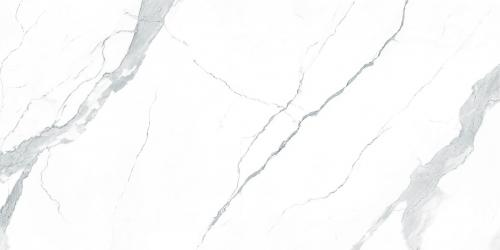 K18909-8